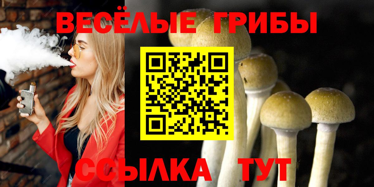 Псилоцибиновые грибы Magic Shrooms  где купить   Галлюциногенные грибы Psilocybine cubensis  Магнитогорск  Вход с VPN 
